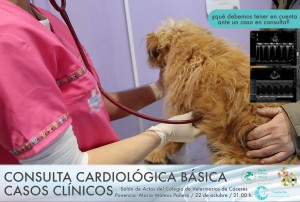 Consulta Cardiológica básicape